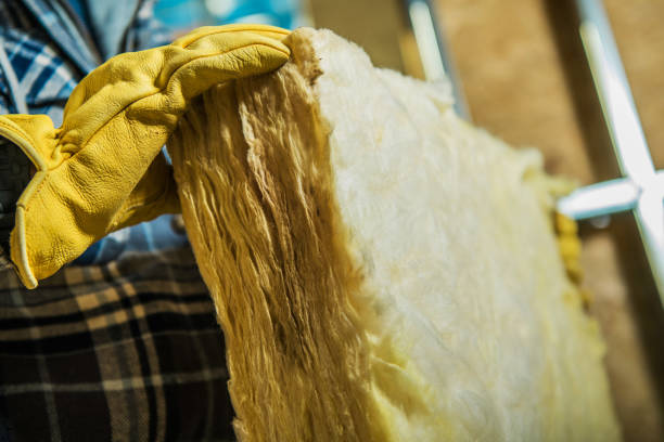 Best Professional Insulation Contractor  in Ennis, TX